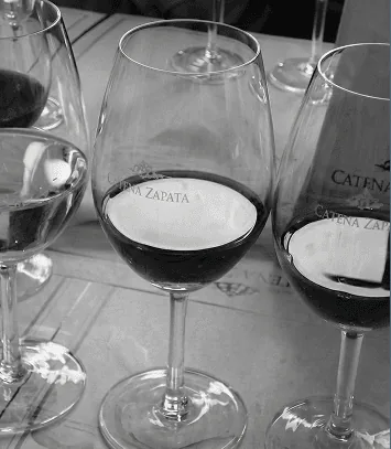 Wine glasses during a tasting of Pelleriti Priore wines