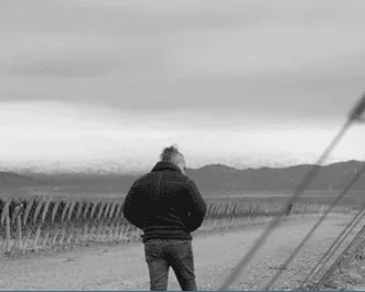 Uco Valley vineyard in winter, with the Andes in the background